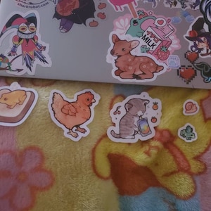 Lily added a photo of their purchase