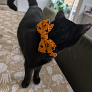 Emma added a photo of their purchase