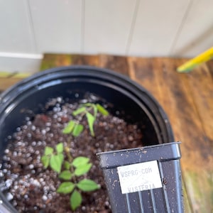 Martin ha añadido una foto de su compra