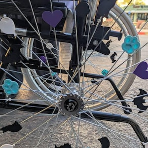 Cookie hat ein Foto des gekauften Artikels hinzugefügt