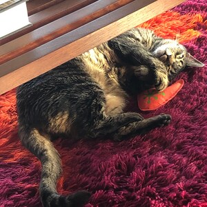 Joan Gand a ajouté une photo de son achat