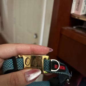 paula added a photo of their purchase