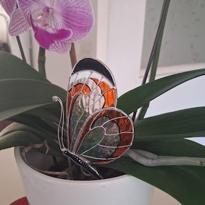 Sylvie added a photo of their purchase