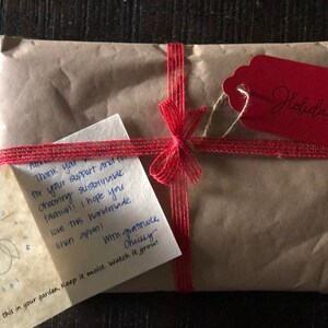 Inactive account added a photo of their purchase