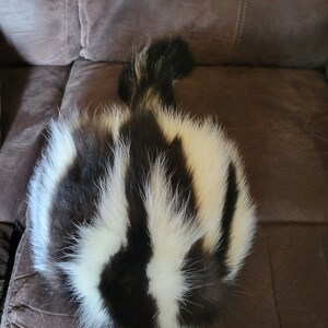 Skunk Daniel Boone Style Fur Hat 