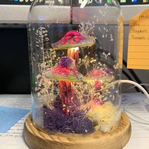 Morgan added a photo of their purchase