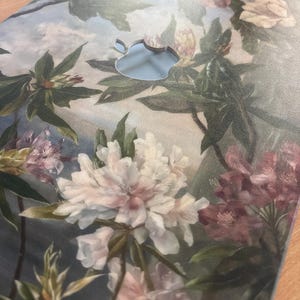 Josefa hat ein Foto des gekauften Artikels hinzugefügt