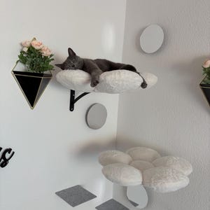Klaudia added a photo of their purchase