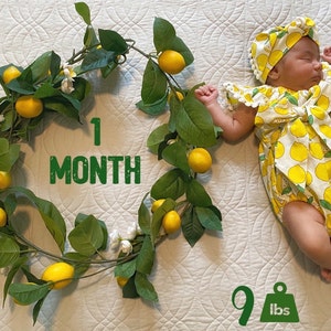 Pauhilma added a photo of their purchase
