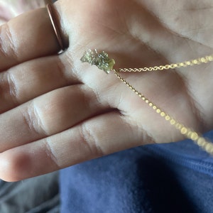 Pauline added a photo of their purchase