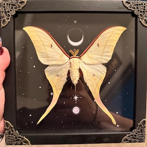 Kaya added a photo of their purchase