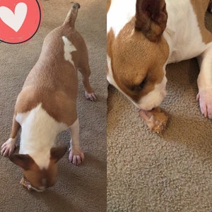 Cat adicionaram uma foto da sua compra