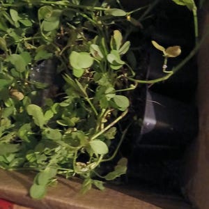 Stephen ha añadido una foto de su compra