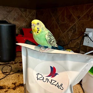 N added a photo of their purchase