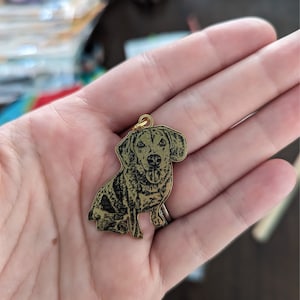 Carly added a photo of their purchase