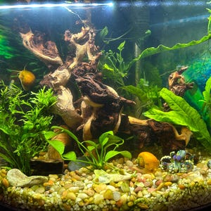 Amberle added a photo of their purchase