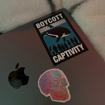 Indigenous Rights Activism Decal Set, Human Rights Decolonize Sticker ...