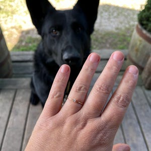 De added a photo of their purchase