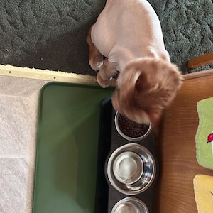 Lesa added a photo of their purchase