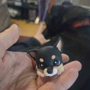 Holly added a photo of their purchase