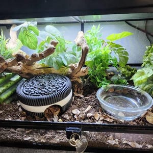 roxie added a photo of their purchase