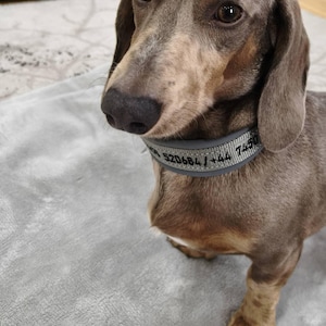 Martina heeft een foto van zijn/haar aankoop toegevoegd