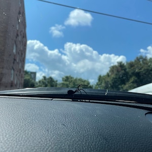 Samantha added a photo of their purchase