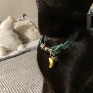 Aaron added a photo of their purchase