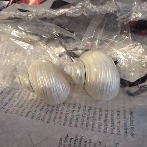 Laura added a photo of their purchase