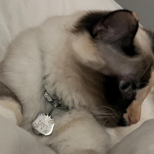 Brianda heeft een foto van de aankoop toegevoegd