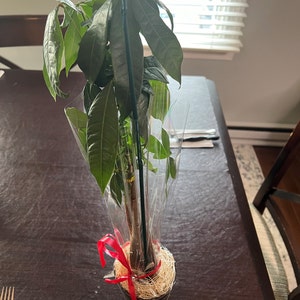 Stephanie added a photo of their purchase