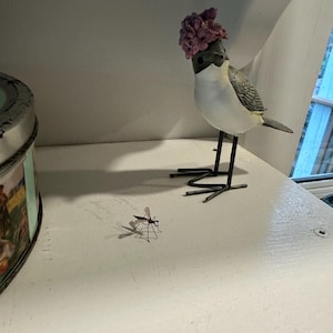 Brian hat ein Foto des gekauften Artikels hinzugefügt
