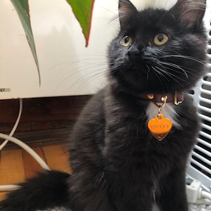 Liza added a photo of their purchase