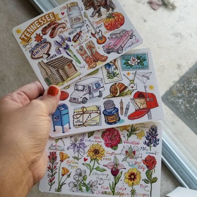 Tennessee State Bird & Flower Postcards - Set Of 20 Identical 4x6 Inch Cards Made In USA
