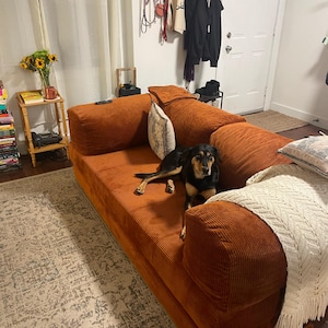 Emily added a photo of their purchase