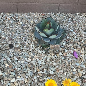 Melanie added a photo of their purchase
