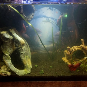 jordan heeft een foto van zijn/haar aankoop toegevoegd