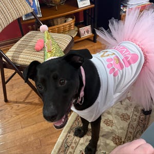 Kimberly added a photo of their purchase