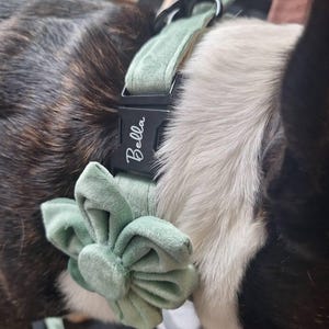 charlotte added a photo of their purchase