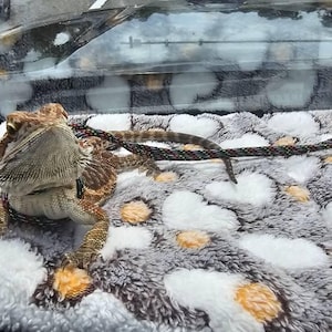 Mona added a photo of their purchase