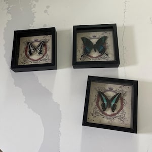 Julia added a photo of their purchase