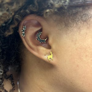 Customer photo, Llama Stud Earrings