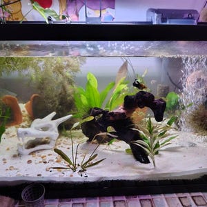 Mattelyn added a photo of their purchase