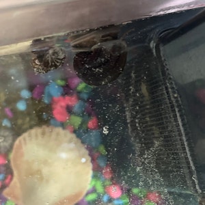 Natalia added a photo of their purchase