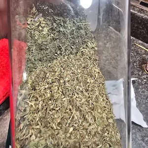 REYES adicionaram uma foto da sua compra