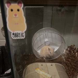 Amanda added a photo of their purchase