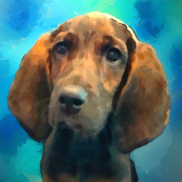 Custom Dog Paintings or Pet Portraits from your by DogPictureArt