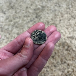 Anna さんが購入した商品の写真を追加しました