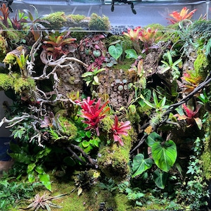 Chris added a photo of their purchase