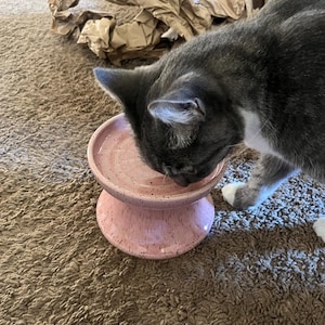 Genesis added a photo of their purchase